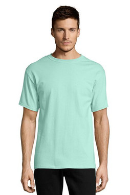 Hanes 5250 - Mens Authentic-T T-Shirt