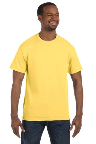 Hanes 5250 - Mens Authentic-T T-Shirt