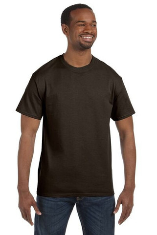 Hanes 5250 - Mens Authentic-T T-Shirt