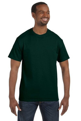 Hanes 5250 - Men's Authentic-T T-Shirt