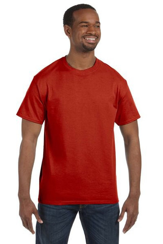 Hanes 5250 - Mens Authentic-T T-Shirt