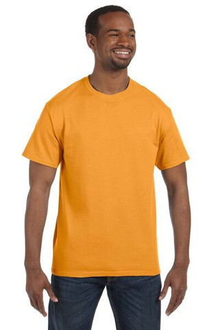 Hanes 5250 - Mens Authentic-T T-Shirt