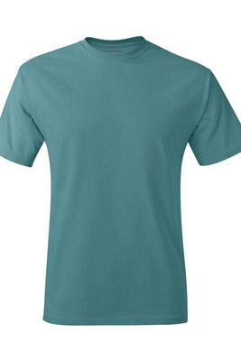 Hanes 5250 - Men's Authentic-T T-Shirt