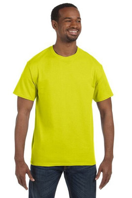 Hanes 5250 - Men's Authentic-T T-Shirt