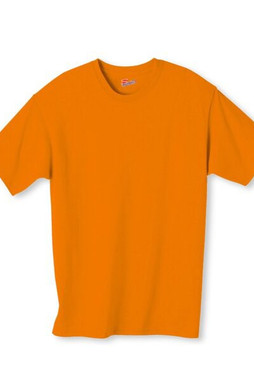 Hanes 5250 - Mens Authentic-T T-Shirt