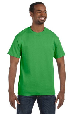 Hanes 5250 - Men's Authentic-T T-Shirt