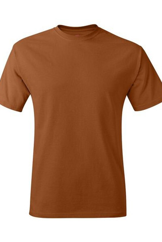 Hanes 5250 - Mens Authentic-T T-Shirt