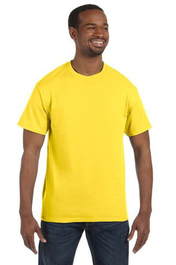 Hanes 5250 - Mens Authentic-T T-Shirt