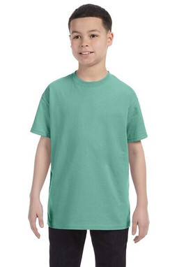 Hanes 5450 - Youth Authentic-T T-Shirt 