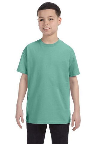 Hanes 5450 - Youth Authentic-T T-Shirt