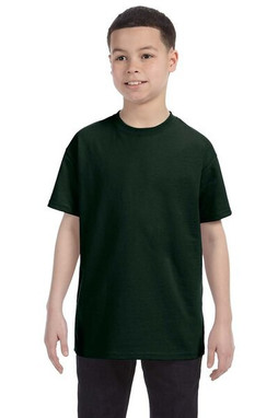 Hanes 5450 - Youth Authentic-T T-Shirt 