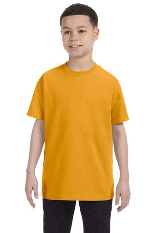 Hanes 5450 - Youth Authentic-T T-Shirt