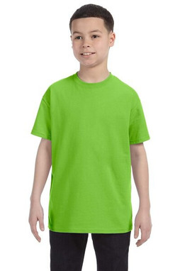 Hanes 5450 - Youth Authentic-T T-Shirt 