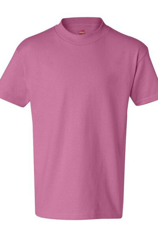 Hanes 5450 - Youth Authentic-T T-Shirt