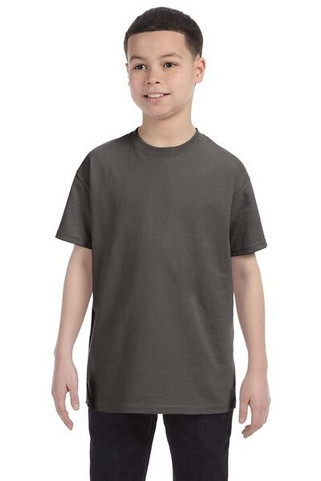 Hanes 5450 - Youth Authentic-T T-Shirt