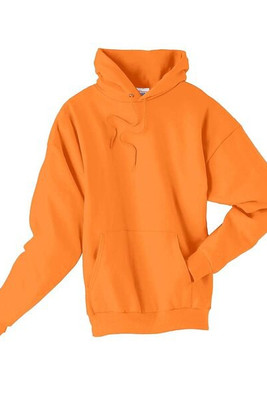 Hanes P170 - EcoSmart® Hooded Sweatshirt