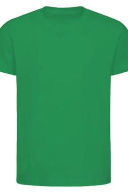 Next Level 3310 - Youth Premium Short-Sleeve Crew