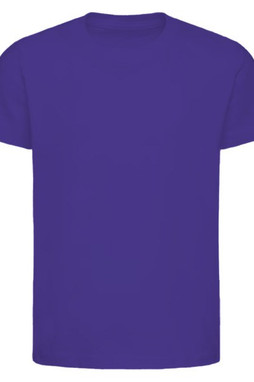 Next Level 3310 - T-shirt à manches courtes Premium Crew pour jeunes