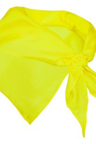 FESTERO Unisex scarf in triangular shape used as an accessory in both male and female clothing - EgotierPro PN9003