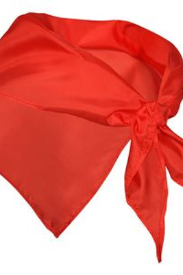 FESTERO Unisex scarf in triangular shape used as an accessory in both male and female clothing - EgotierPro PN9003