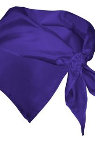 FESTERO Unisex scarf in triangular shape used as an accessory in both male and female clothing - EgotierPro PN9003