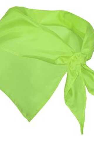 FESTERO Unisex scarf in triangular shape used as an accessory in both male and female clothing - EgotierPro PN9003