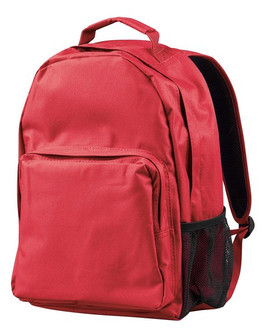 BAGedge BE030 - Urban Commuter Laptop Backpack with Organizer
