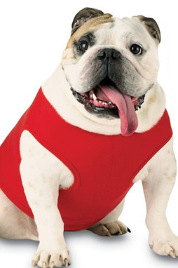 Doggie Skins 3902 - Doggie Baby Rib Tank