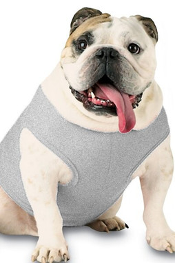 Doggie Skins 3902 - Doggie Baby Rib Tank