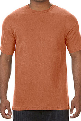 Comfort Colors CC1717 - Adult Ringspun Tee