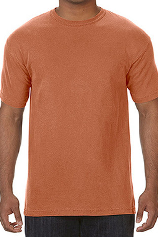 Comfort Colors CC1717 - Adult Ringspun Tee