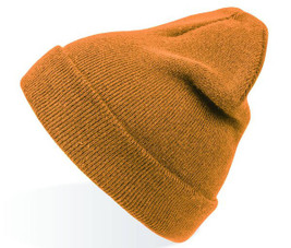 Atlantis AT010 - Evergreen Cuffed Beanie for Sports and Events