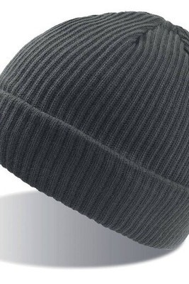 Atlantis AT102 - Beanie with Thinsulate Lining