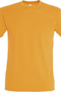 SOLS 11380 - REGENT Herren Rundhals T Shirt
