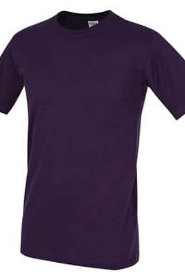 STEDMAN ST2000 - CLASSIC-T UNISEX