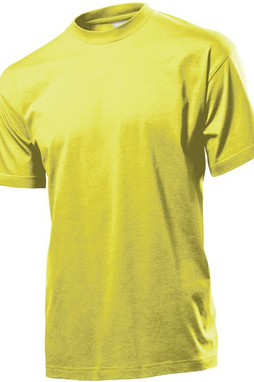 Stedman ST2000 - Premium Unisex Crew Neck Soft Cotton T-Shirt