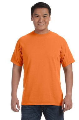 Comfort Colors CC1717 - Adult Heavyweight Ring Spun Tee
