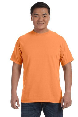 Comfort Colors CC1717 - Adult Heavyweight Ring Spun Tee