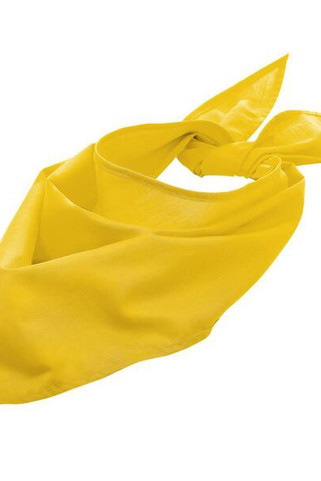 SOLS 01198 - Μπαντάνα Μόδας Sols Versatile