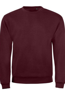 SOLS 01168 - Unisex Sweatshirt Spider