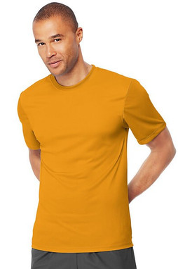 Hanes 4820 - Cool Dri® Short Sleeve Performance T-Shirt