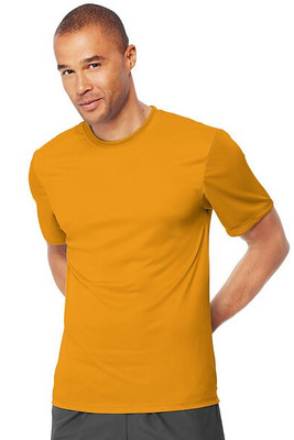 Hanes 4820 - Cool Dri® Short Sleeve Performance T-Shirt