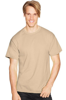 Hanes 5170 - ComfortBlend® EcoSmart® T-Shirt