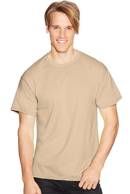 Hanes 5170 - ComfortBlend® EcoSmart® T-Shirt
