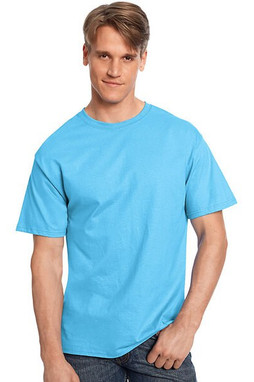 Hanes 5250 - Mens Authentic-T T-Shirt