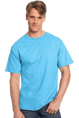 Hanes 5250 - Mens Authentic-T T-Shirt