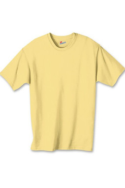 Hanes 5450 - Youth Authentic-T T-Shirt 
