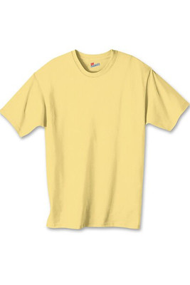 Hanes 5450 - Youth Authentic-T T-Shirt