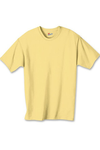 Hanes 5450 - Youth Authentic-T T-Shirt