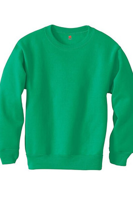 Hanes P360 - EcoSmart® Youth Sweatshirt
